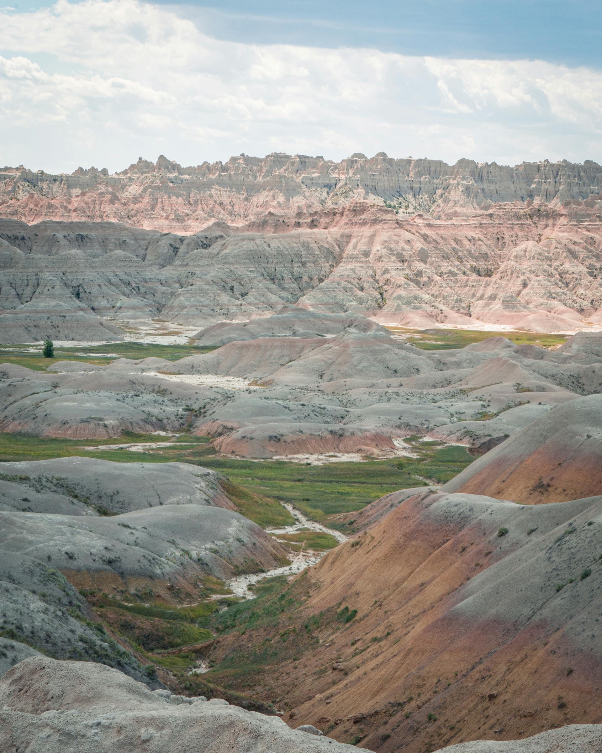 Custer State Park One